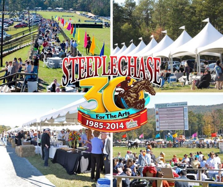 6 Reasons Why Steeplechase Isn T Just About Horses Electric City