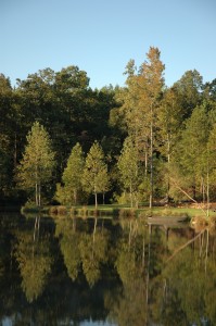 Two lakes on the property provide wildlife habitat, fishing and water for irrigation.