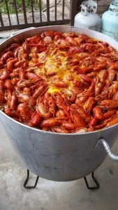 potofcrawfish