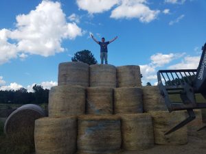 The hay wall!